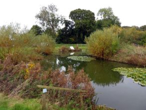 Image of Holly Farm, a beautiful countryside retreat with lush green fields, a charming farmhouse, and grazing livestock.