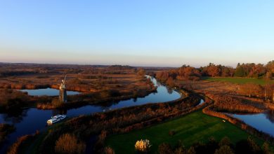 Image of a day boat for hire on the serene waterways of Norfolk Broads, with lush greenery and clear blue skies