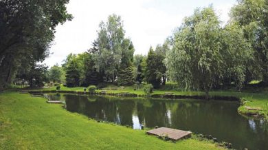 A man fishing at Reepham Fishery in Norfolk, surrounded by trees and peaceful surroundings