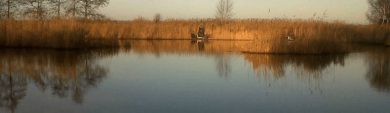 A peaceful view of Martham Pits Fishery in Norfolk with calm waters and trees in the background