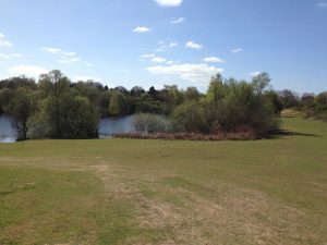 Norfolk fishing lakes