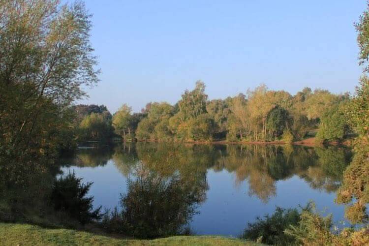 Serene lake at Broome Fishery in Bungay, perfect for a day of fishing and relaxation.