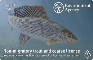 Do I need Fishing Licence