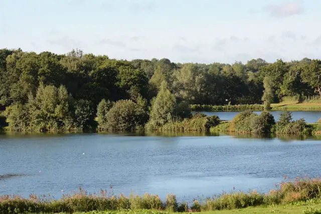 Billingford fishing lakes. A legendary fishing lake in norfolk. Packed with fish in numerous fishing lakes. Perfect destination for any angler.
