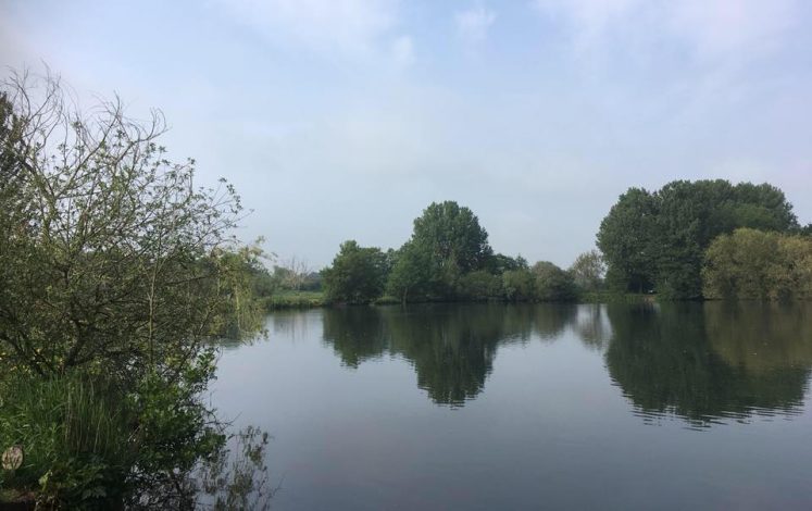 Crystal-clear lake reflecting the vibrant greenery of surrounding trees and shimmering blue sky above