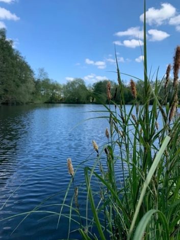 Swangy lakes is a fishing lake in Norfolk and is one of the best fishing lakes around