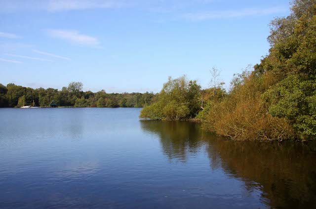 Wroxham broad is a perfect destination when opting for a potter heigham day boat hire