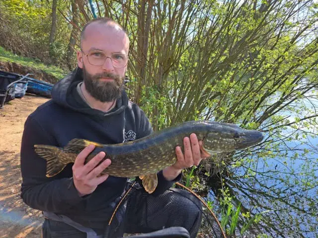 Broome pits pike caught on a roach feeder fishing.