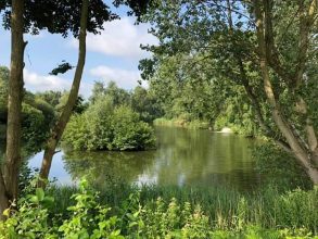 Burgh Castle fishery is a fishing lakes just outside great yarmmouth