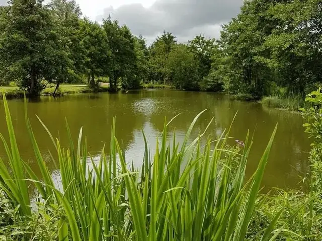 Cobbleacre Lakes sits in Norfolk and offers top quality fishing