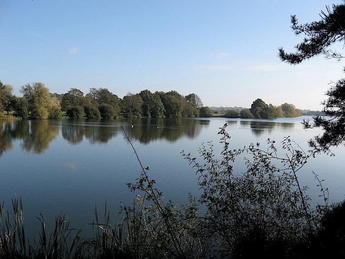 Weybread pits in norfolk has a lifetime opportunity to catch a 40lb carp or even a 15lb bream.