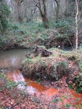 A small barely touched section of norfolk rivers. Meanders around until it gets to the wensum