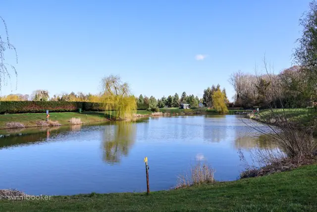 Fenwick's fishery is a fishing lake in norfolk with fish from a roach all the way to catfish