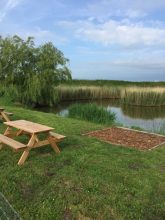 Marsh View Fishery stands out as a top choice among fishing lakes in Norfolk, offering enthusiasts a unique combination of scenic beauty and rich aquatic life.