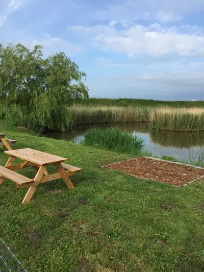 Marsh View Fishery stands out as a top choice among fishing lakes in Norfolk, offering enthusiasts a unique combination of scenic beauty and rich aquatic life.