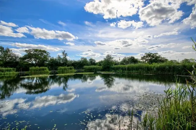 Willow Lakes are in north Norfolk and offers a great fishing experience for anglers of all abilities.