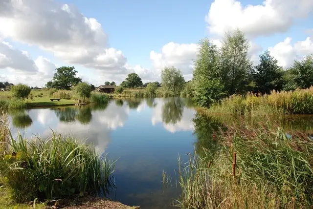 Rocklands Mere Fishing is a brilliant fishery based in norfolk offering specimen fishing of crucian carp, tench, roach, rudd and perch.
