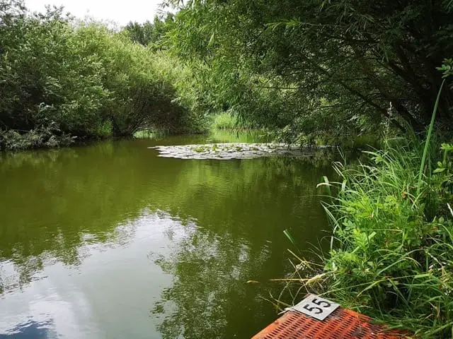 Cross Drove Fishery, a premier fishing destination among the fishing lakes in Norfolk, offers a diverse mixed-course experience.