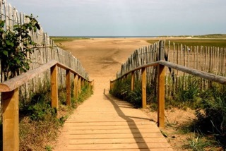 there's plenty of things to do in norfolk from beaches to theme parks. There's something for everybody