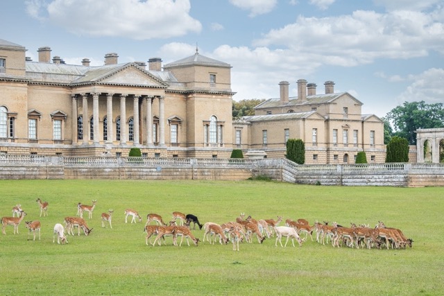 holkham estate is a prviate estate in norfolk. This picture of the main building sites within miles of beautiful norfolk woods and walks
