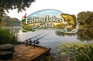 Fishing lakes in Suffolk offer diverse fishing for all abilities with something for everybody